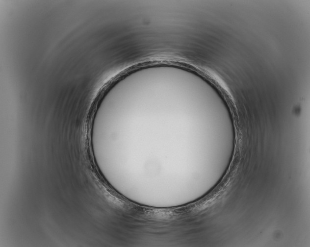 X0000091520831200708171008