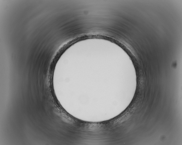 X0000091520832200708171008