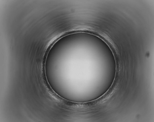 X0000091520834200708171008