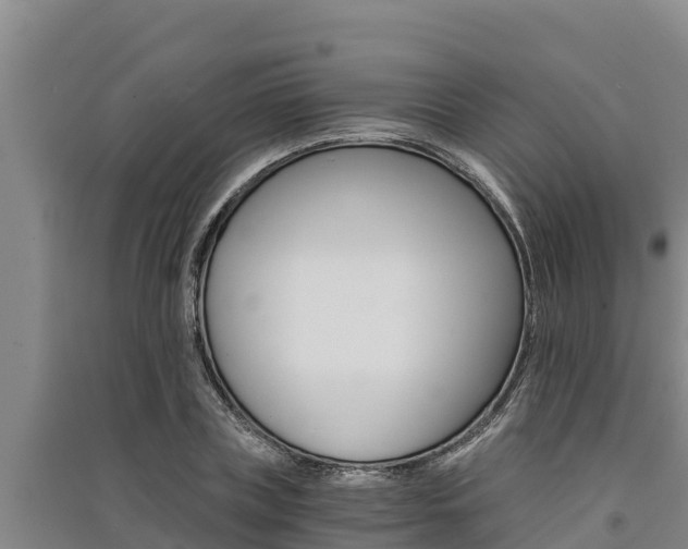 X0000091520835200708171008