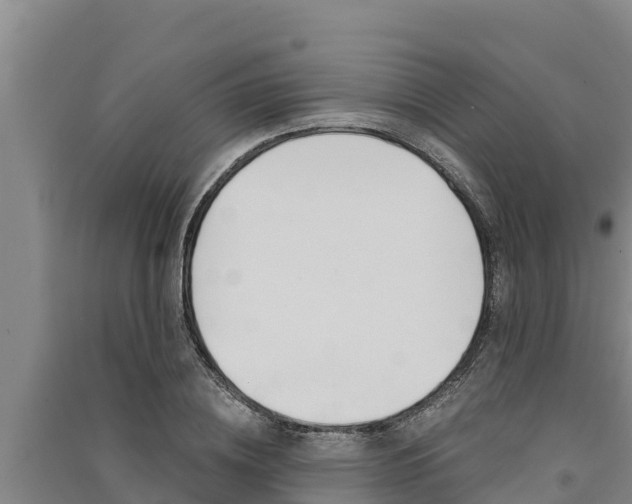 X0000091520836200708171008