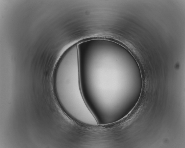 X0000091520838200708171008