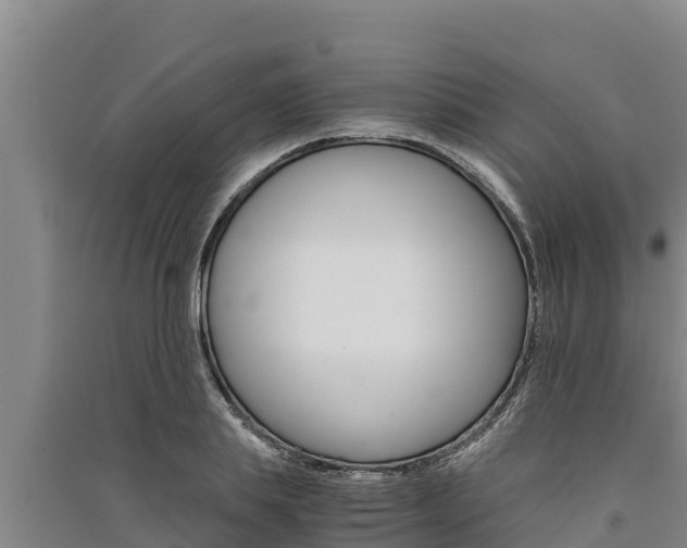 X0000091520839200708171008