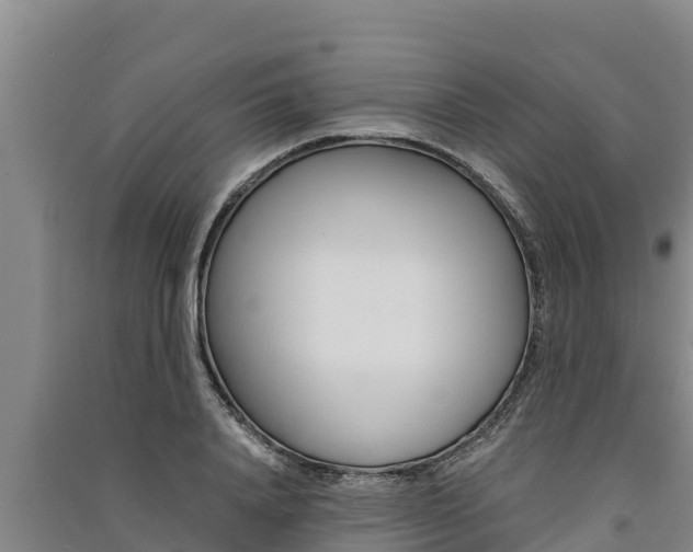 X0000091520840200708171008