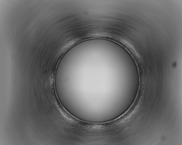 X0000091520841200708171008