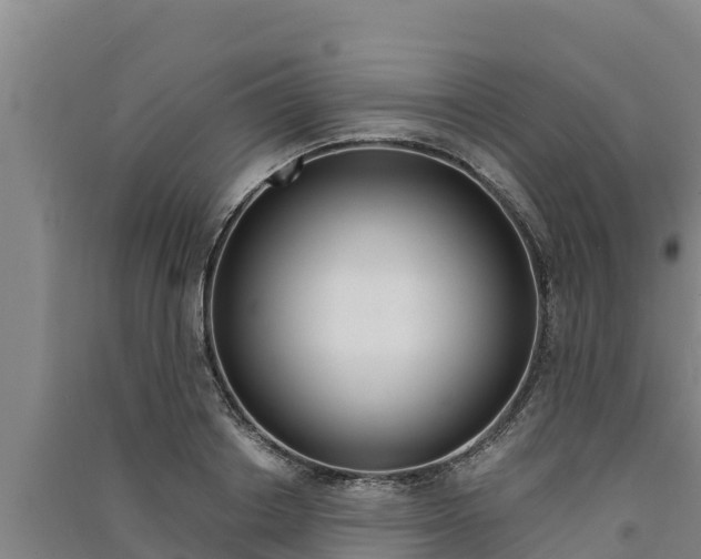X0000091520842200708171008