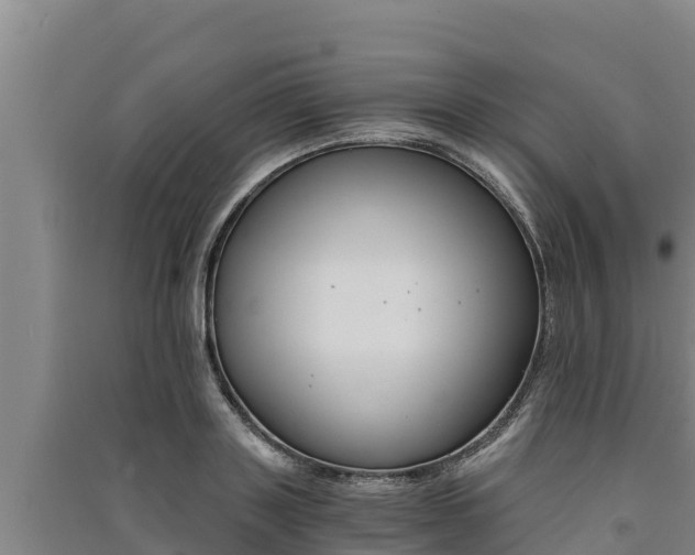 X0000091520843200708171008