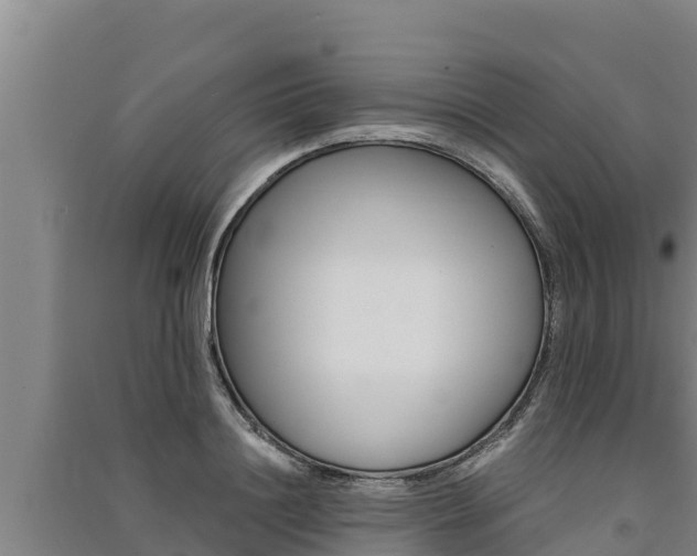X0000091520844200708171008