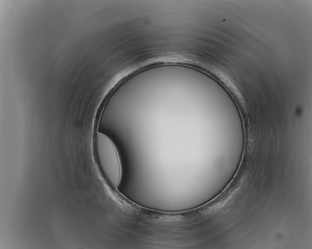 X0000091520845200708171008