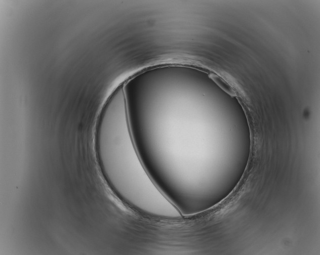 X0000091520846200708171008