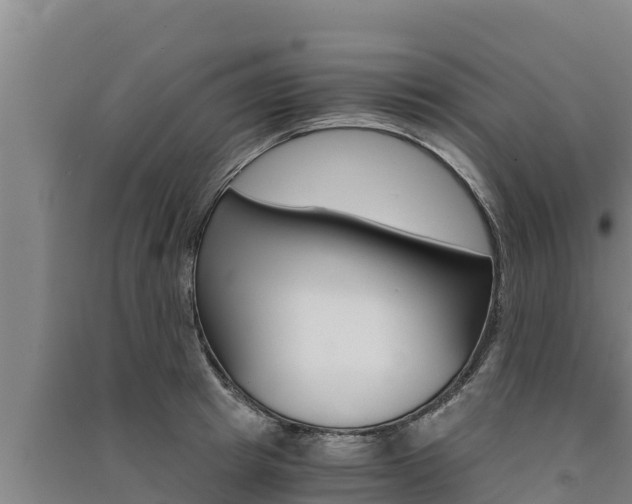 X0000091520849200708171008