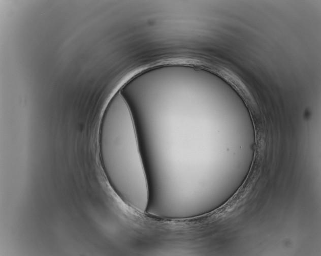 X0000091520852200708171008