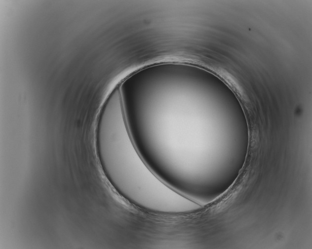X0000091520854200708171008