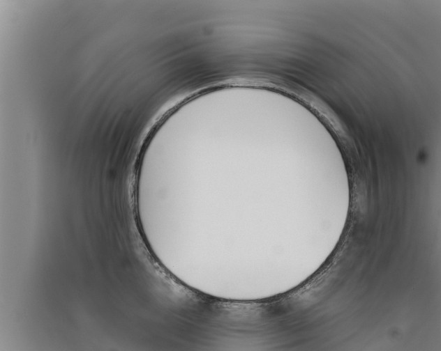 X0000091520856200708171008