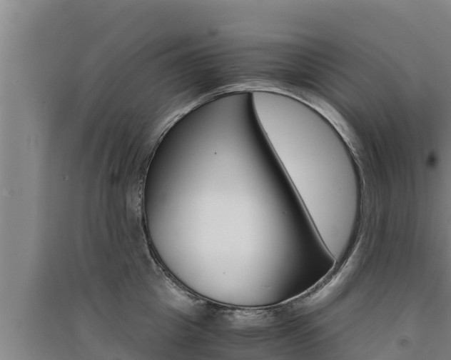 X0000091520857200708171008