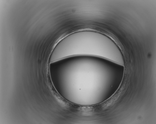 X0000091520858200708171008