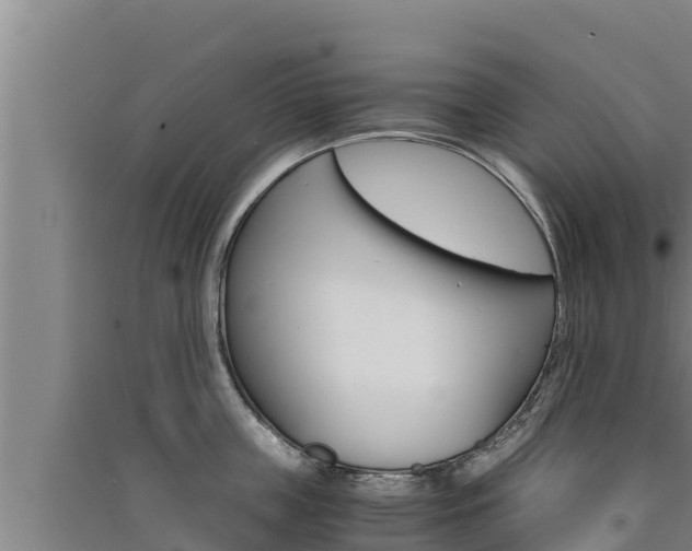 X0000091520859200708171008