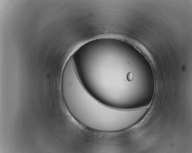 X0000091520860200708171008