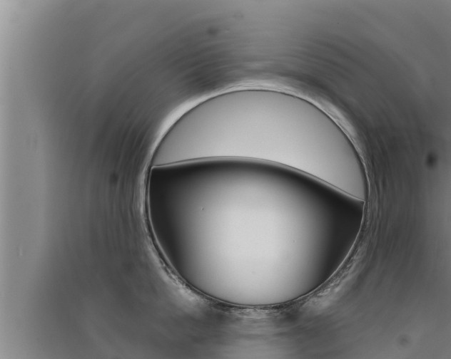 X0000091520862200708171008
