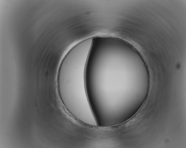X0000091520864200708171008