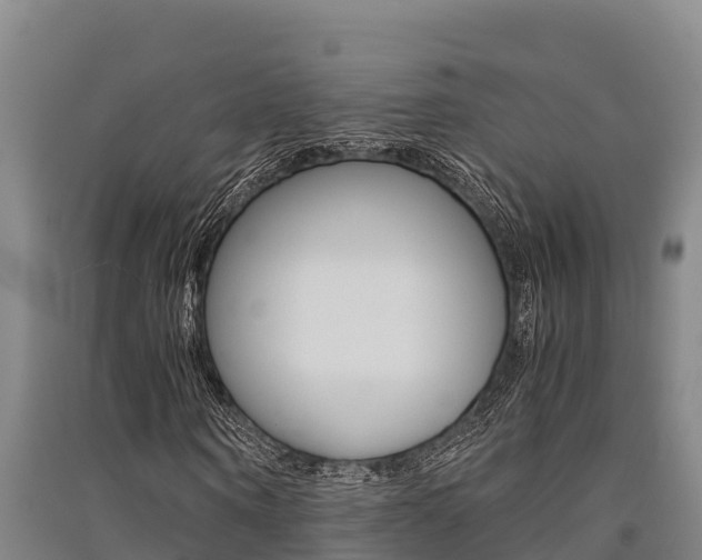 X0000091520866200708171008