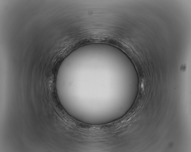 X0000091520867200708171008