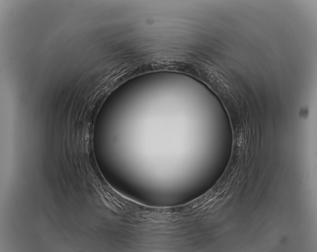 X0000091520868200708171008