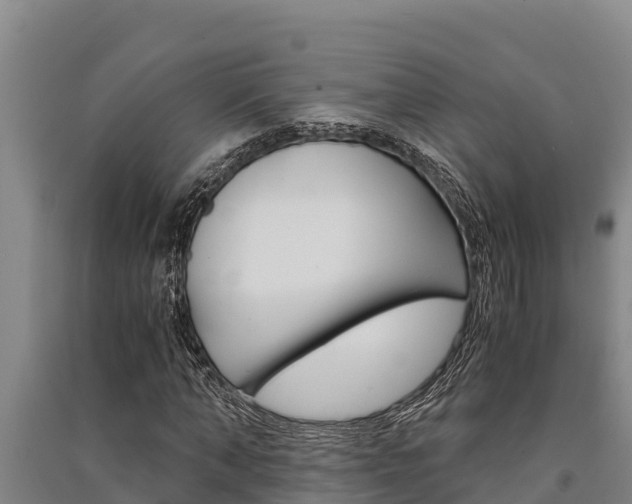 X0000091520870200708171008