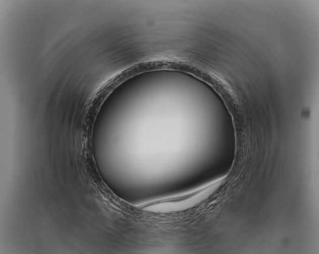 X0000091520872200708171008