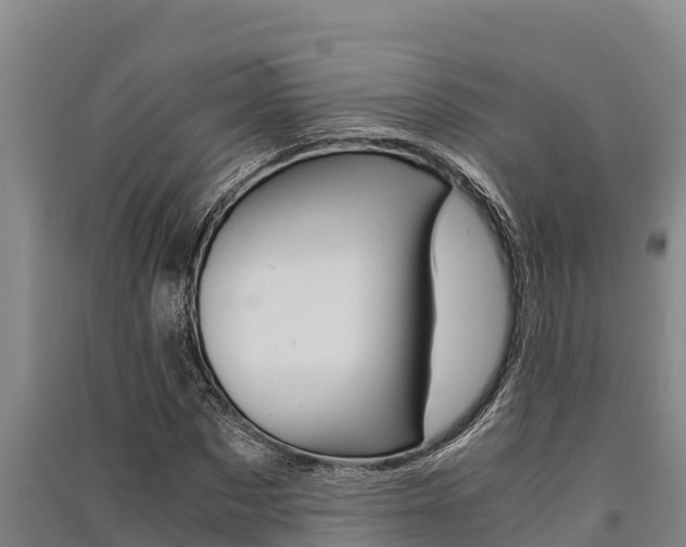 X0000091520873200708171008
