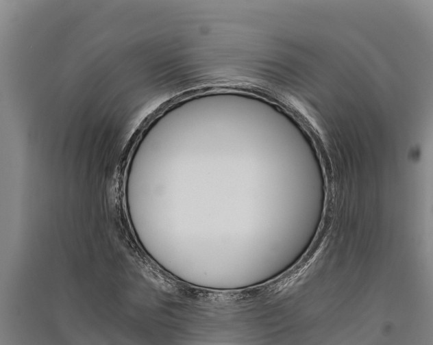 X0000091520875200708171007