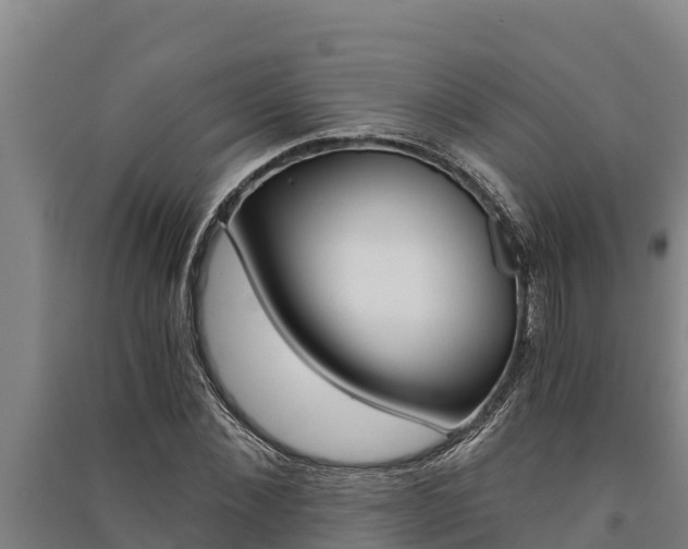 X0000091520876200708171007