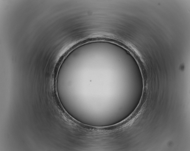 X0000091520877200708171007
