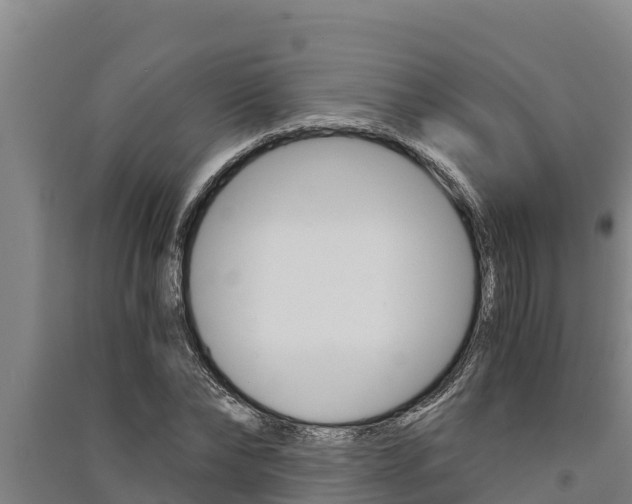 X0000091520878200708171007
