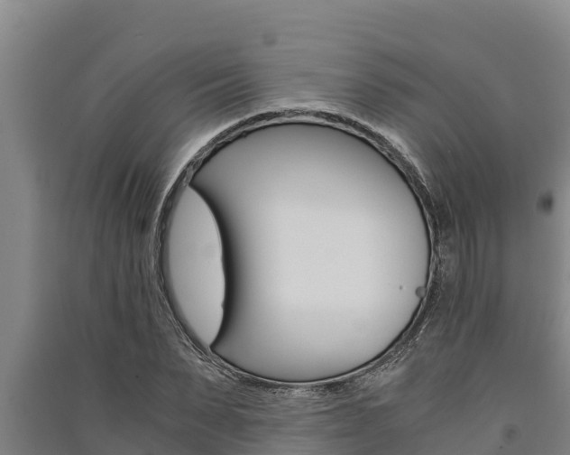 X0000091520879200708171007