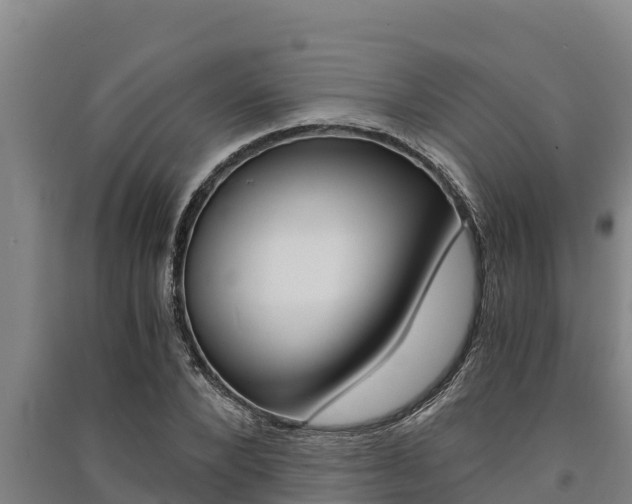 X0000091520880200708171007