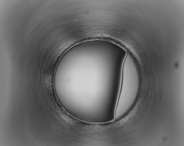 X0000091520881200708171007