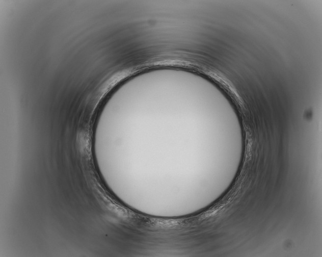 X0000091520882200708171007