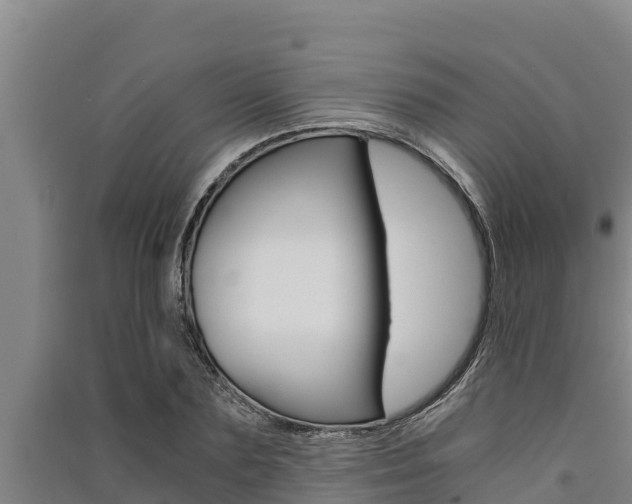 X0000091520883200708171007