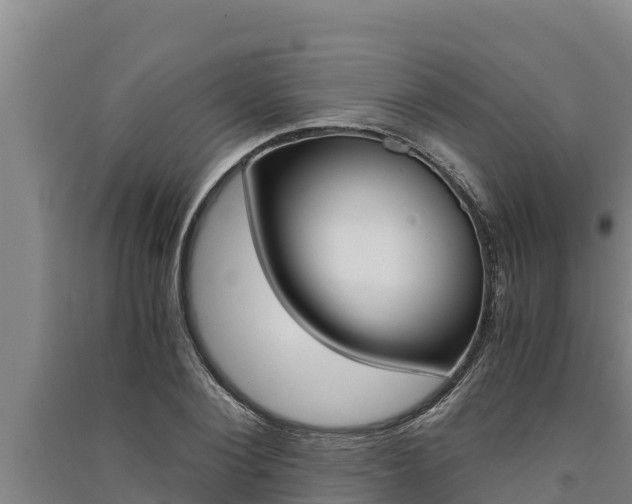 X0000091520884200708171007