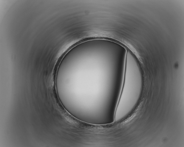 X0000091520885200708171007