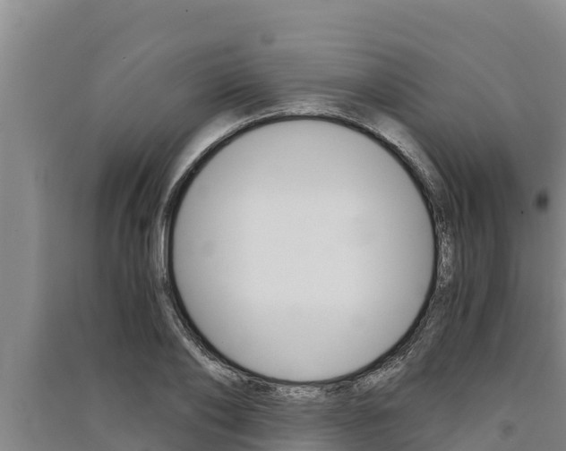 X0000091520886200708171007