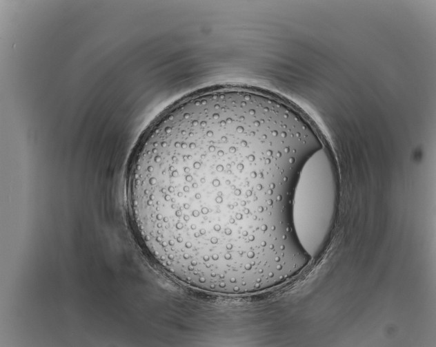 X0000091520887200708171007