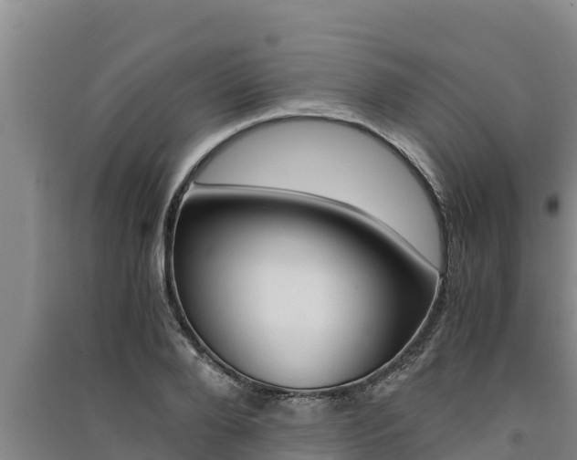 X0000091520888200708171007