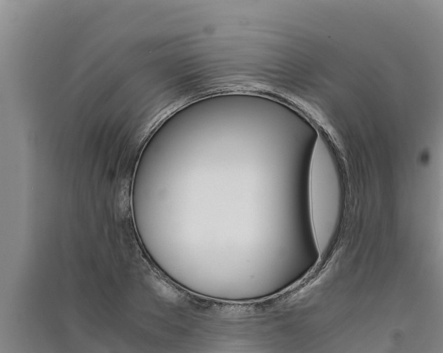 X0000091520889200708171007