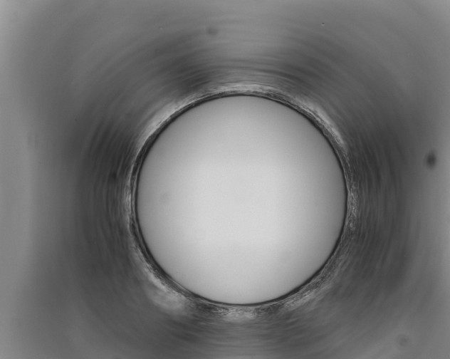 X0000091520890200708171007