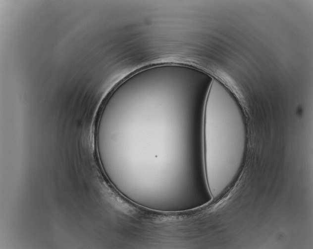 X0000091520892200708171007