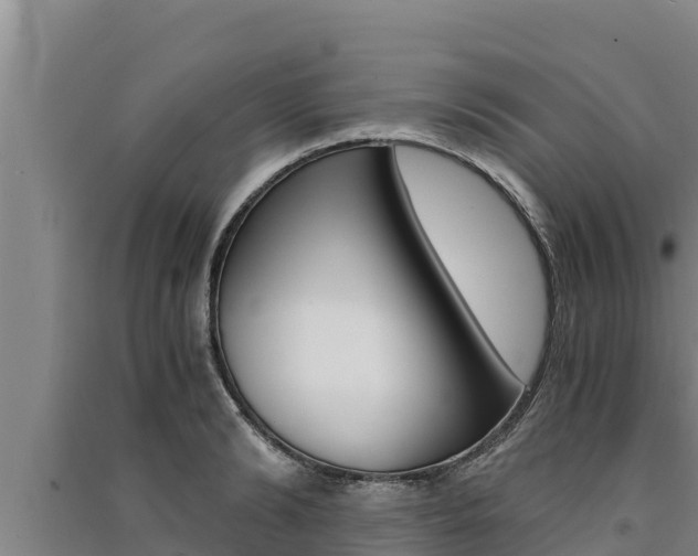 X0000091520894200708171007