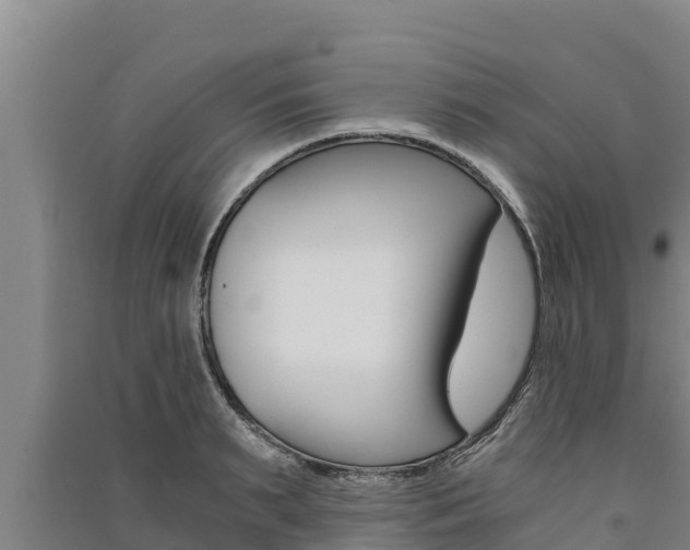 X0000091520895200708171007