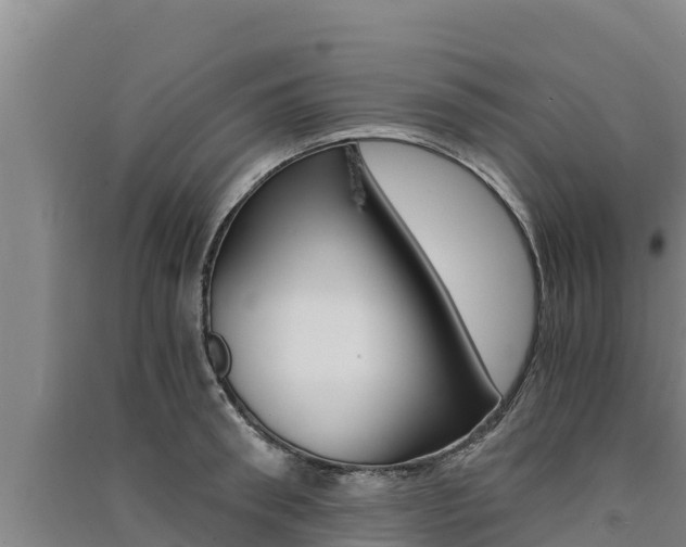 X0000091520898200708171007